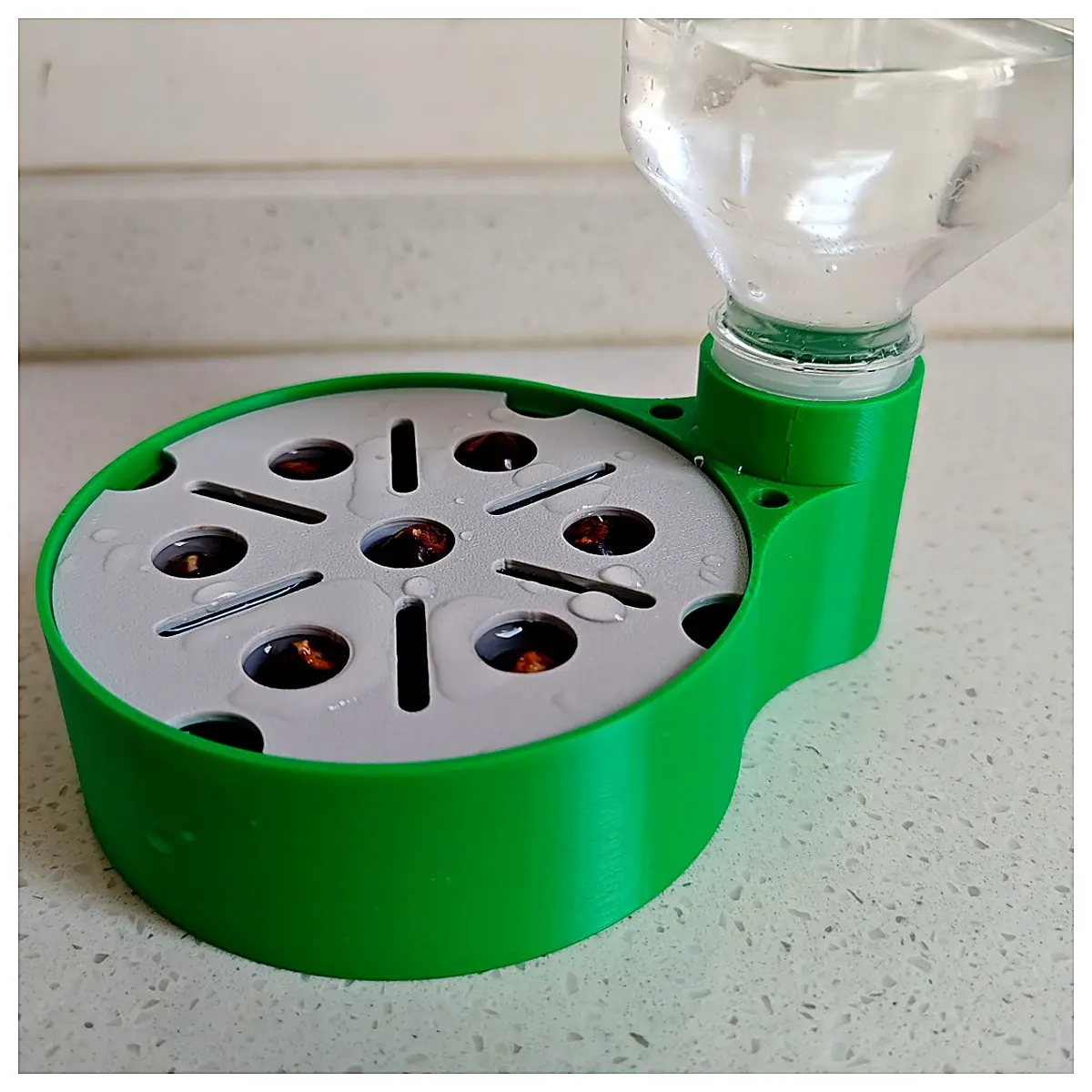 Lychee Hydroponic Box Growing Plant Container Cultivation Tools Seedling Tray Vegetable Planting Indoor Garden Accessories