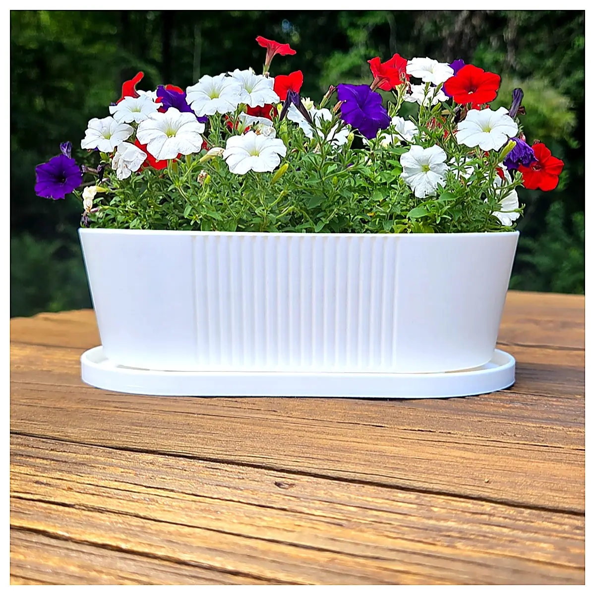Spacious Indoor Planter Pots Decorative Flower Pots Creative Plant Pots Suitable for Indoor Gardens Green Plant Pots