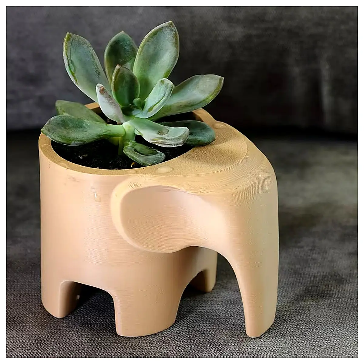 Elephant Succulent Planters Creative Pots Decorative Flower Boxes Support Plant Holders for Succulents Houseplants