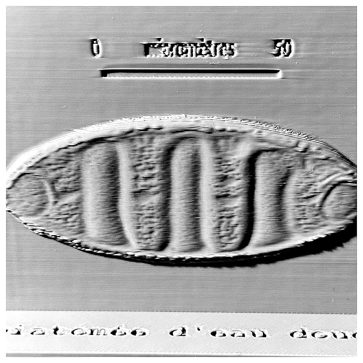 Diatom Microscopic Photos Algae Microscope Images Phytoplankton Diatoms Observation Lab Research Algae Accessories