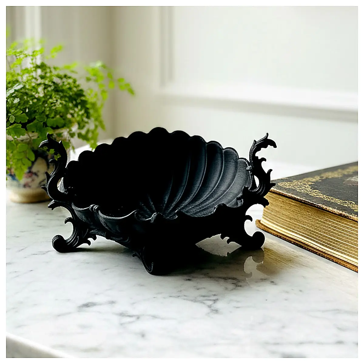 Baroque Shell Dishes Vintage Shell Jewelry Decorative Plates Shell Bowls Art Craft Shell Collection