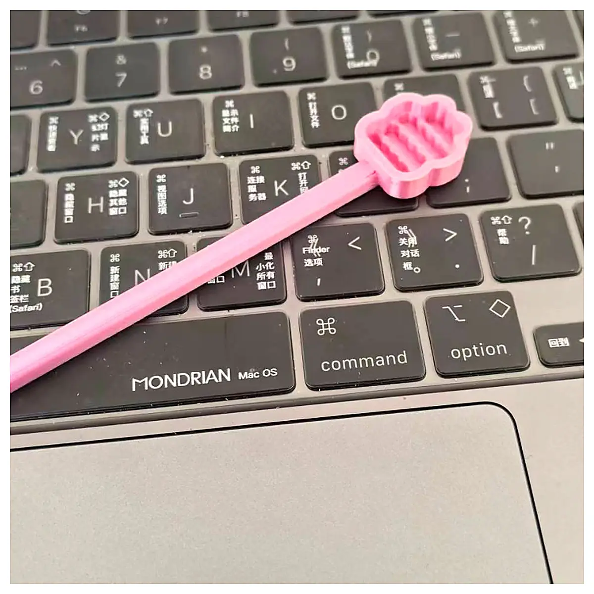 Cat Paw Scoops Litter Scoop Pet Bowl Cleaner Cat Litter Shovel Pet Supplies Kitten Spoon Feeding Spoon Suitable for Cats Dogs