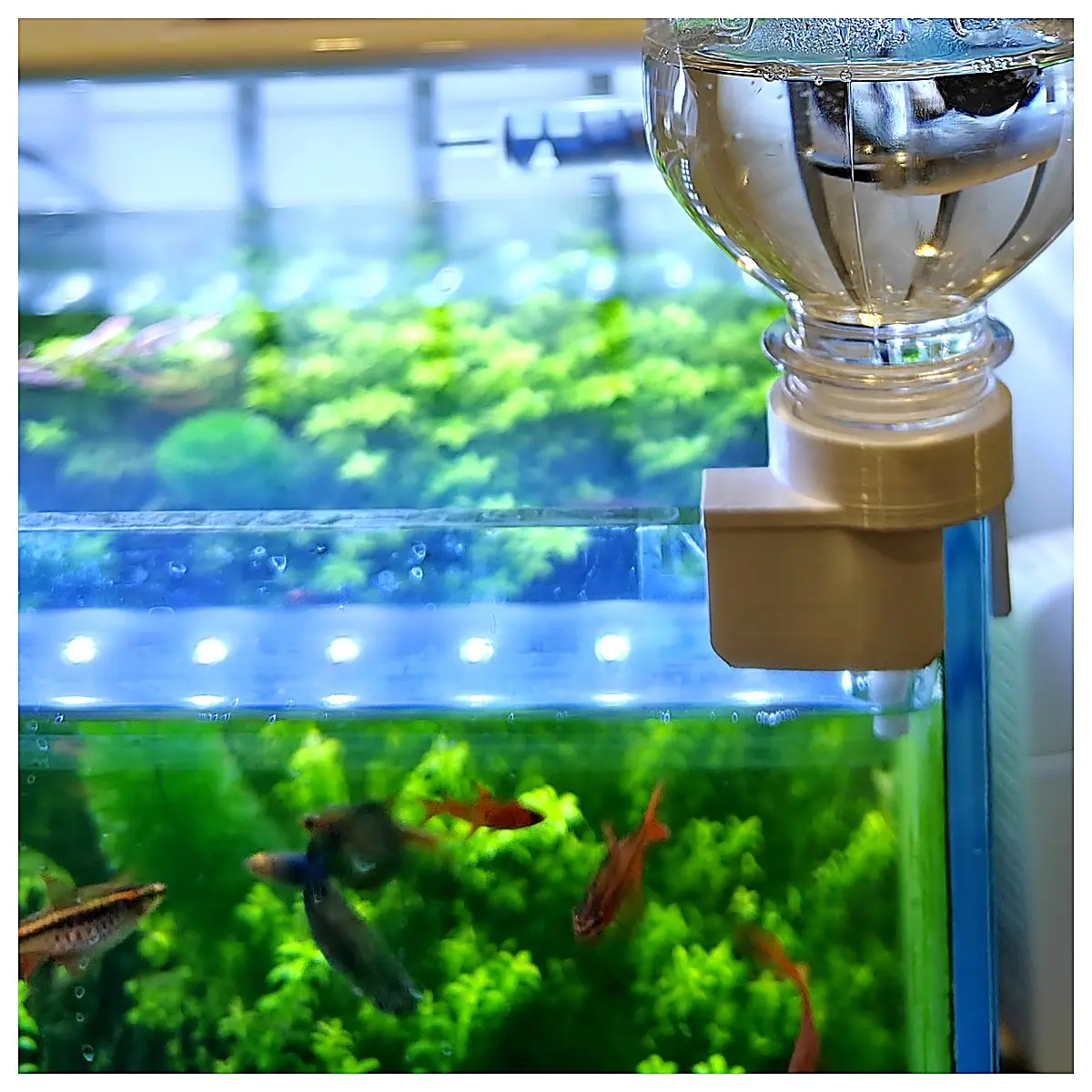 Aquarium Air Pump Small Water Supplementation Device Tea Bottle Replacement Large Capacity Narrow Mouth Aquarium Accessories