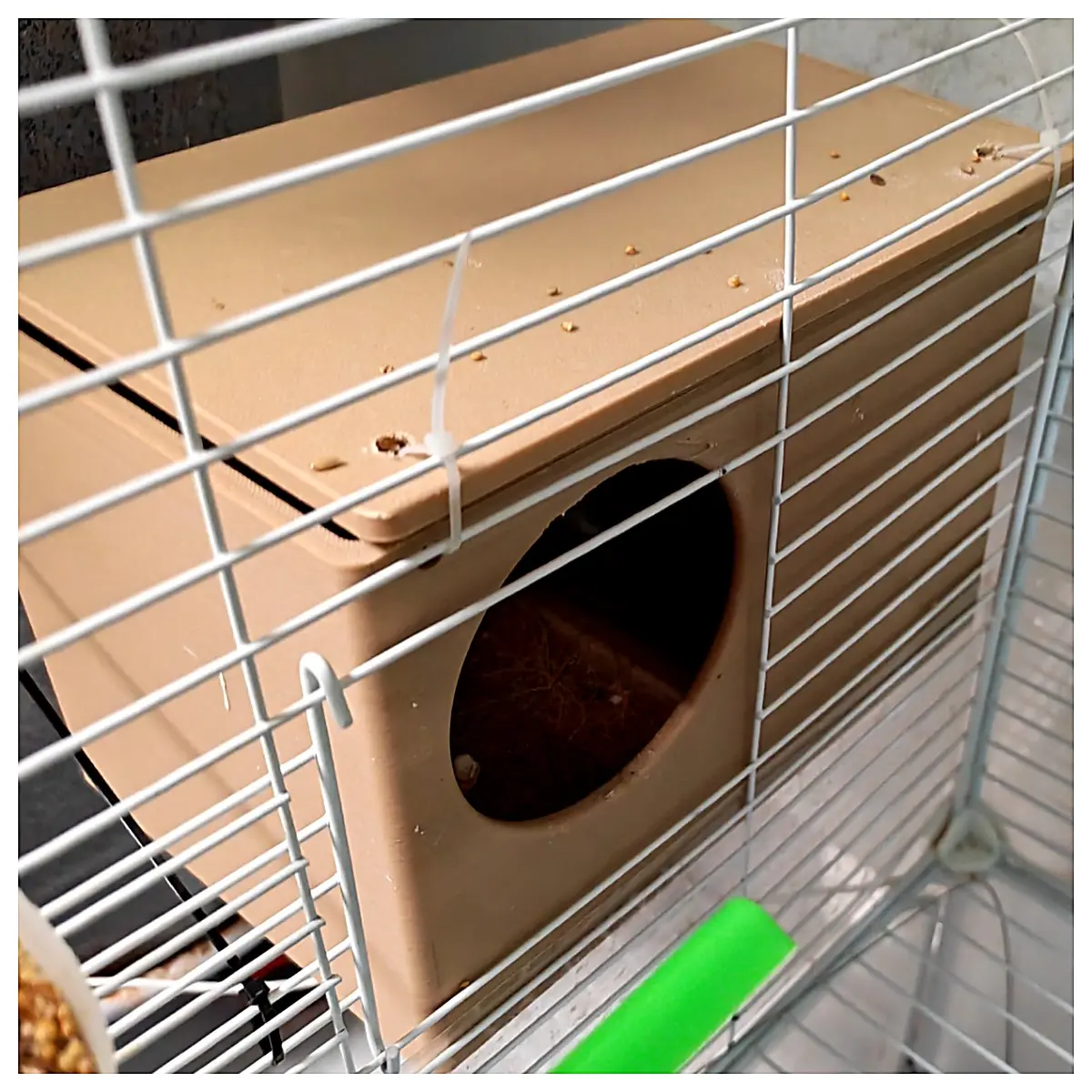 Parrot Breeding Cage Bird House Nest Box Aviary Chick Rearing Parrot Breeding Bird Housing Bird Supplies Cage