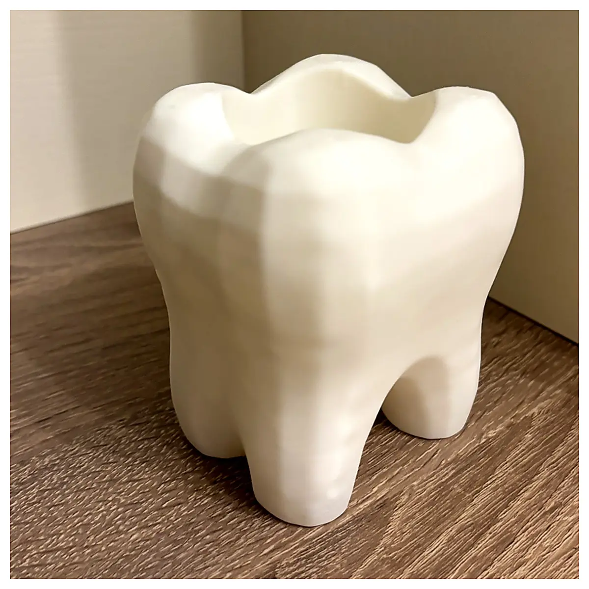 Empty Tooth Display Rack Tooth Organizer Tooth Holder Tooth Stand Tooth Collection Display for Teeth Enthusiasts Tooth Storage Solution