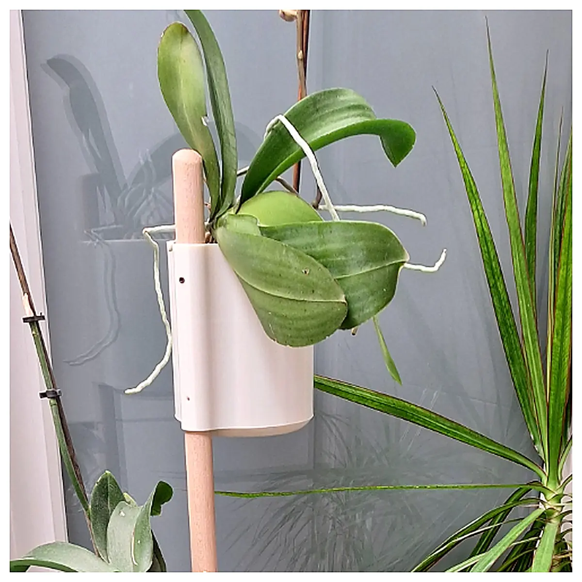 Multi Tiered Floor Standing Flower Rack Wall Mounted Plant Stand Indoor Flower Shelf Balcony Flower Rack Hanging Flower Holder Decorative Plant Displa