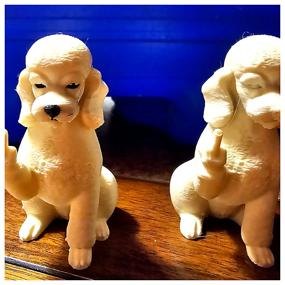 Palomino Dog Training Behavior Correction Puppy Nutrition Pet Toys Pet Supplies