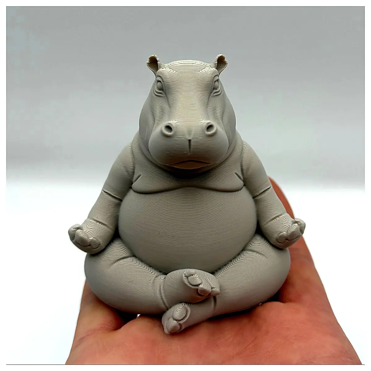 Meditation Hippo Yoga Mat Zen Cushion Comfort Noise Reduction Breathing Meditation Pad