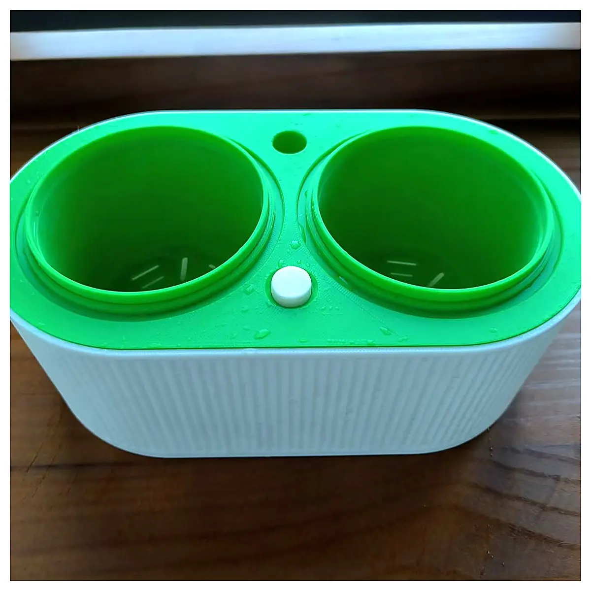 Water Level Indicator Cactus Pot Cactus Plant Pot Succulent Planter Mini Planter Indoor Green Plants for Cactus Care
