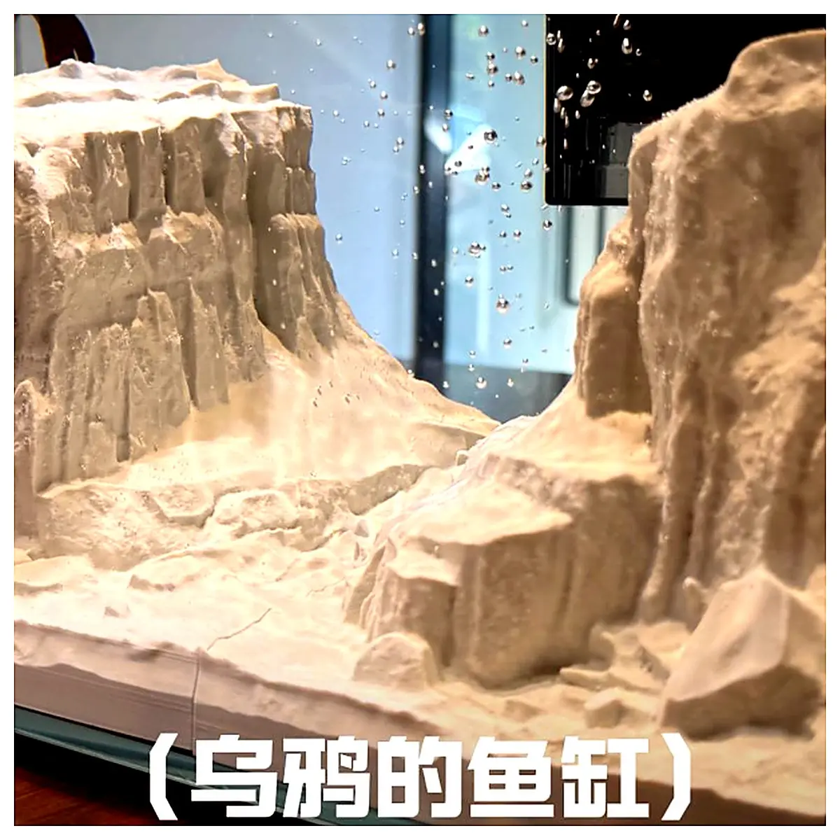 Crow Aquarium Series Episode 9 Fish Tank Aquarium Accessories Fish Repair Fish Cleaning