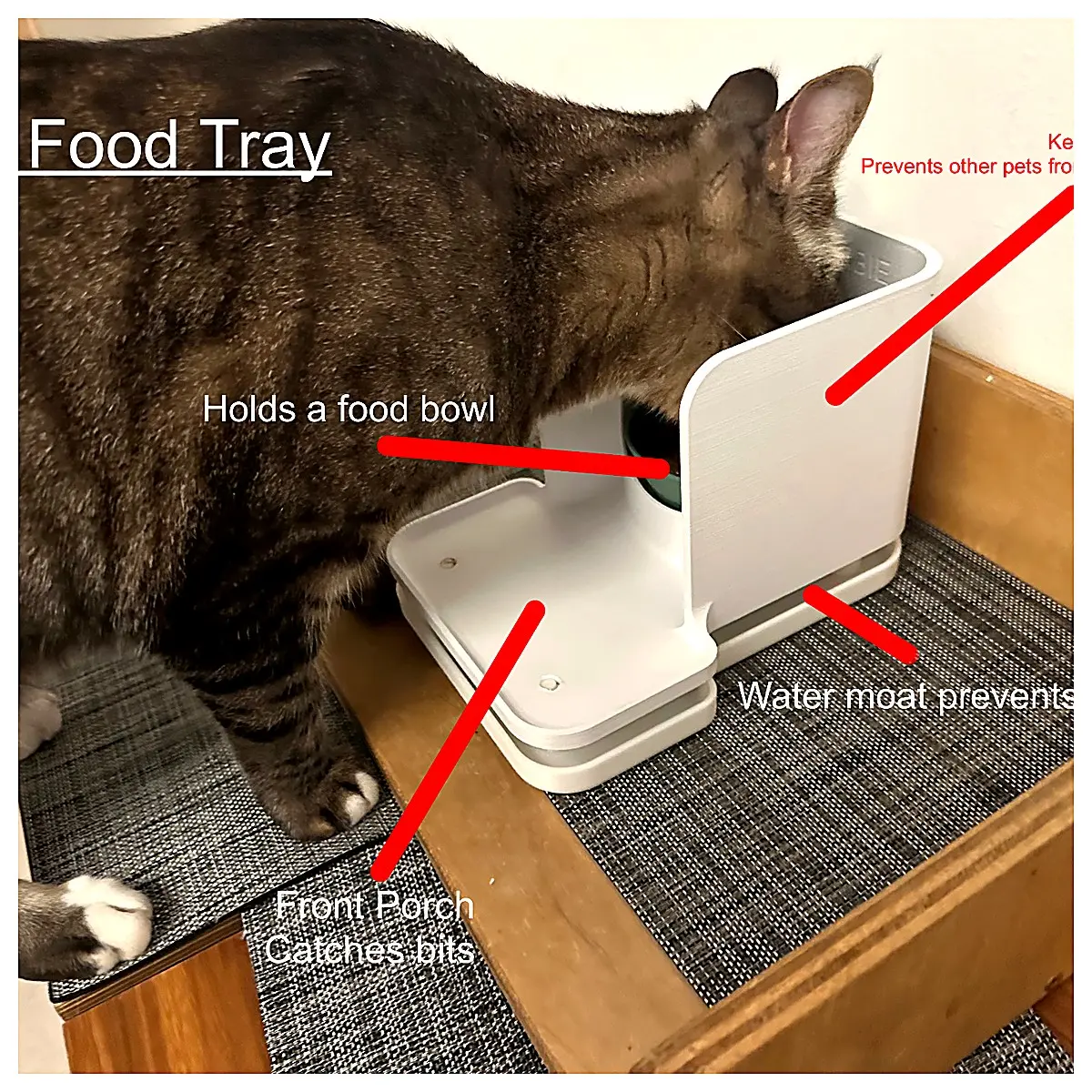 Pet Bowl Stainless Ant Food Dish Silicone Anti Slip Dog Cat Bowl Feeding Mat Pet Dishware Suitable for Small Dogs Cats