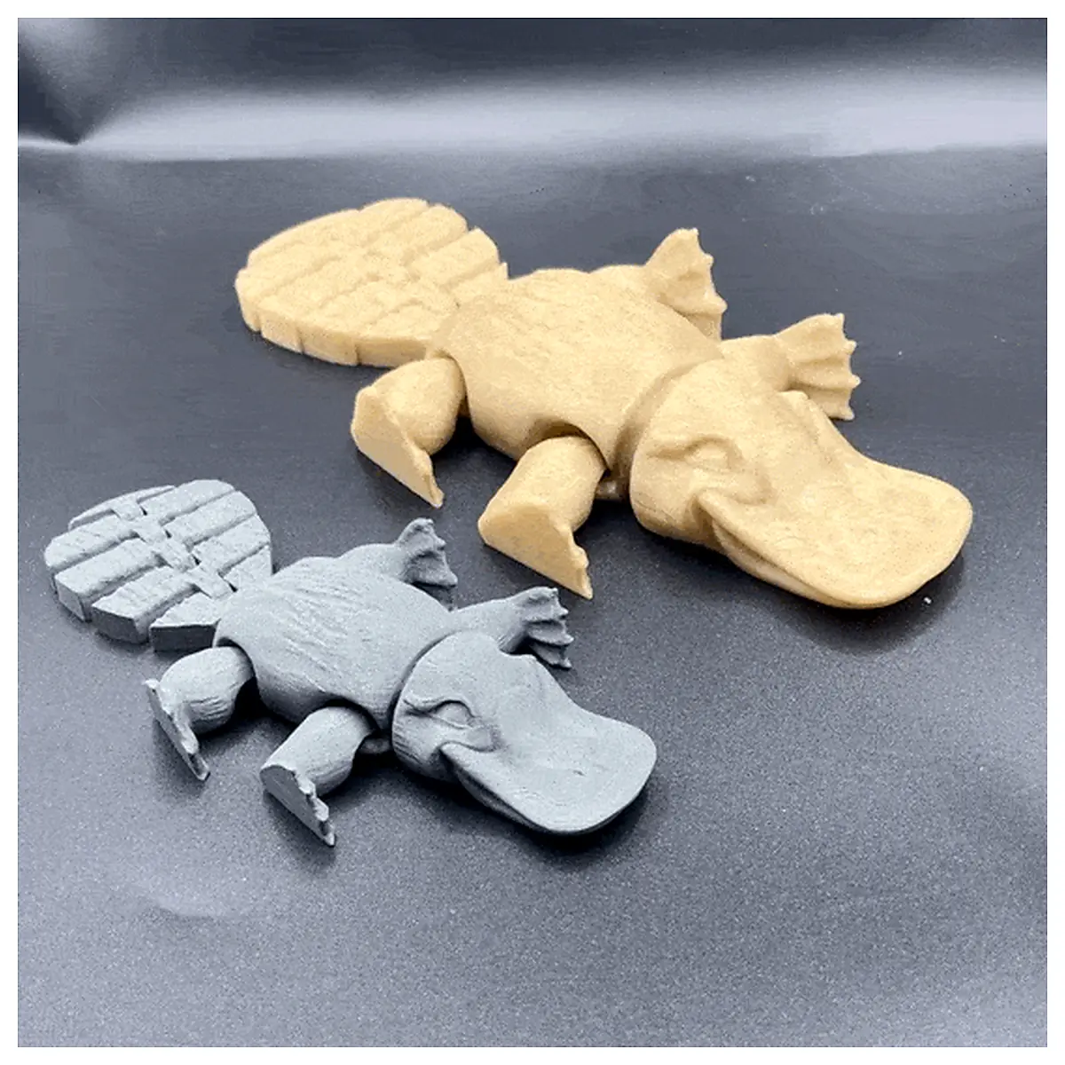 Cute Platypus Toy Fun Educational Toys Kids Platypus Activity Platypus Parts Platypus Repair