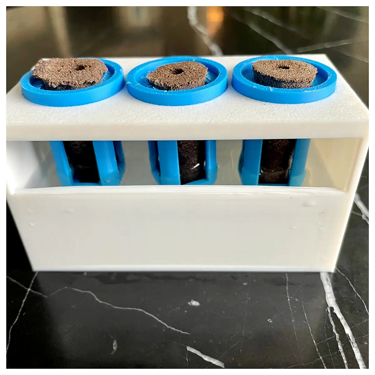 Hydroponic Sprout Starter Seed Germinator Propagation Box Seed Starter Indoor Growing Boost Seedling Growth