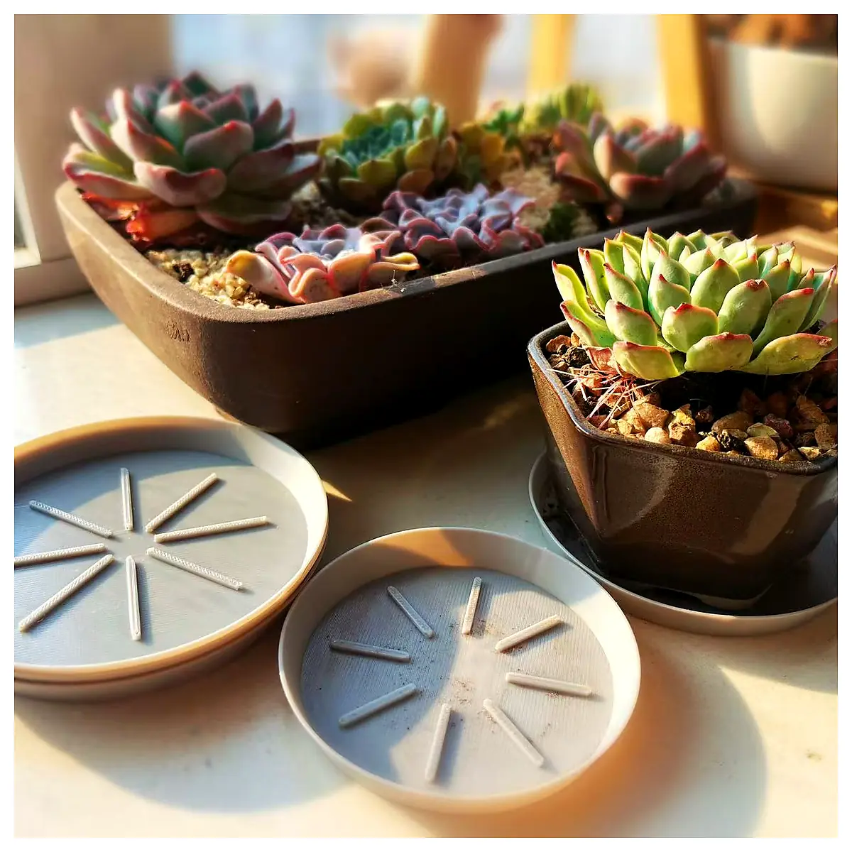 Succulent Pot Trays Breathable Pad Drainage Tray Underpot Base Plant Stand Flower Pot Accessories for Succulent Care