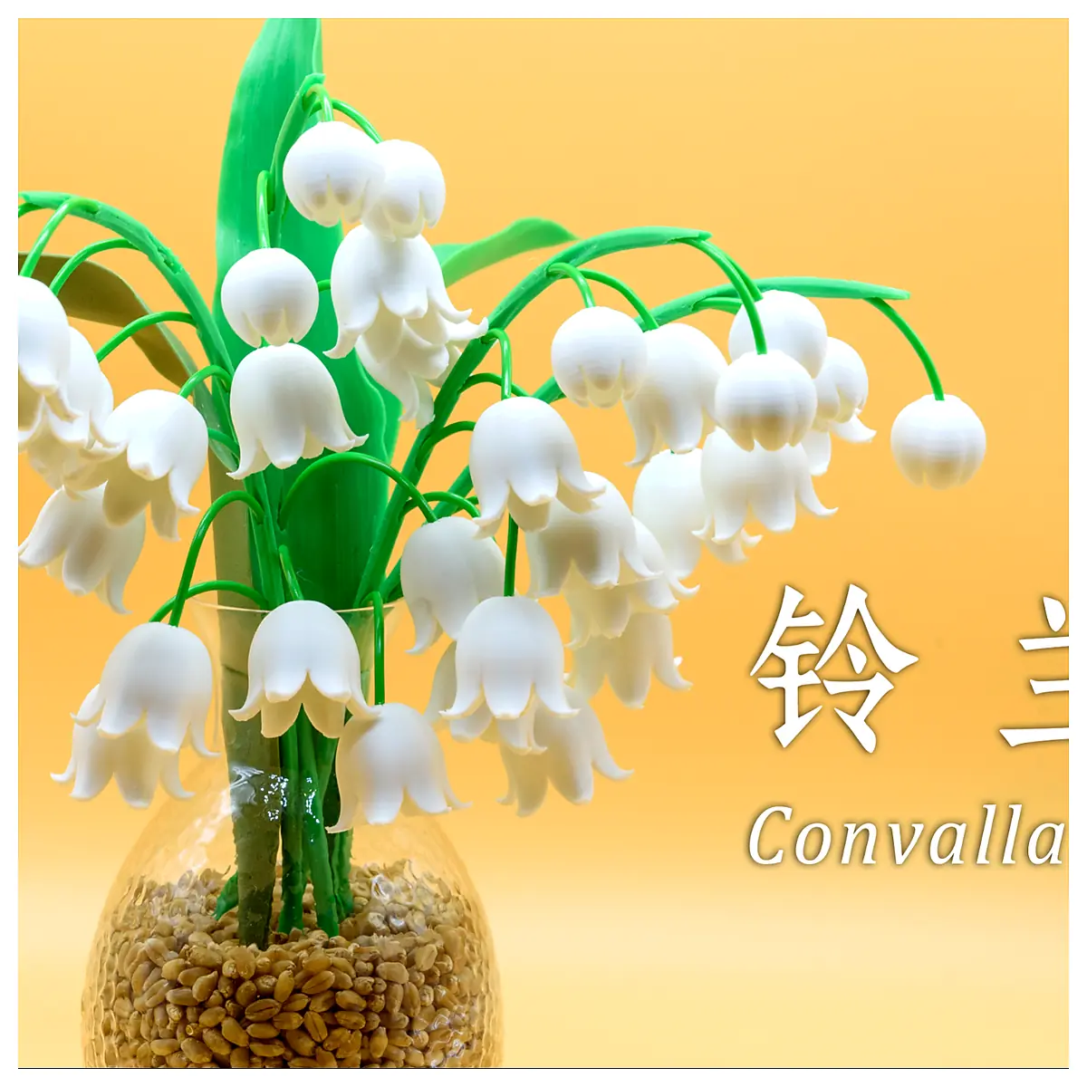 Convallaria majalis Lily of the Valley Plant Indoor Flower Bonsai Decorative Greenery Companion Plant Succulent