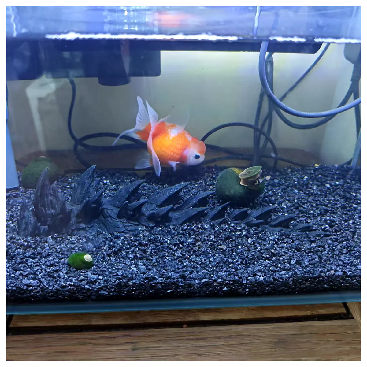 Fin Tail Aquarium Decoration Fish Setup Aquarium Backdrop Underwater Scene Kaiju Theme Fin Tail Habitat
