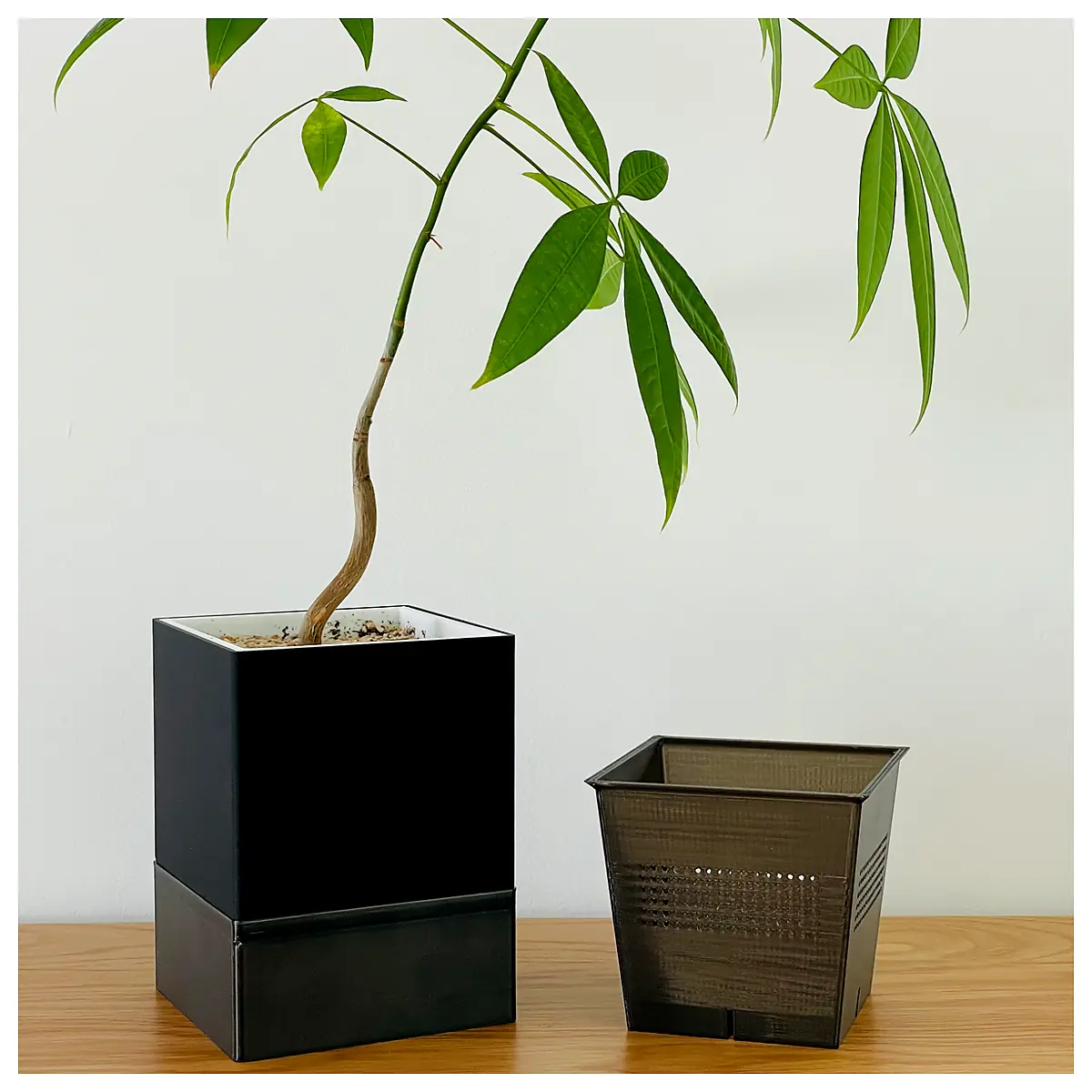 Square Self Watering Planter 100mm Lazy Person Planter Succulent Pot Automatic Watering Indoor Flower Pot