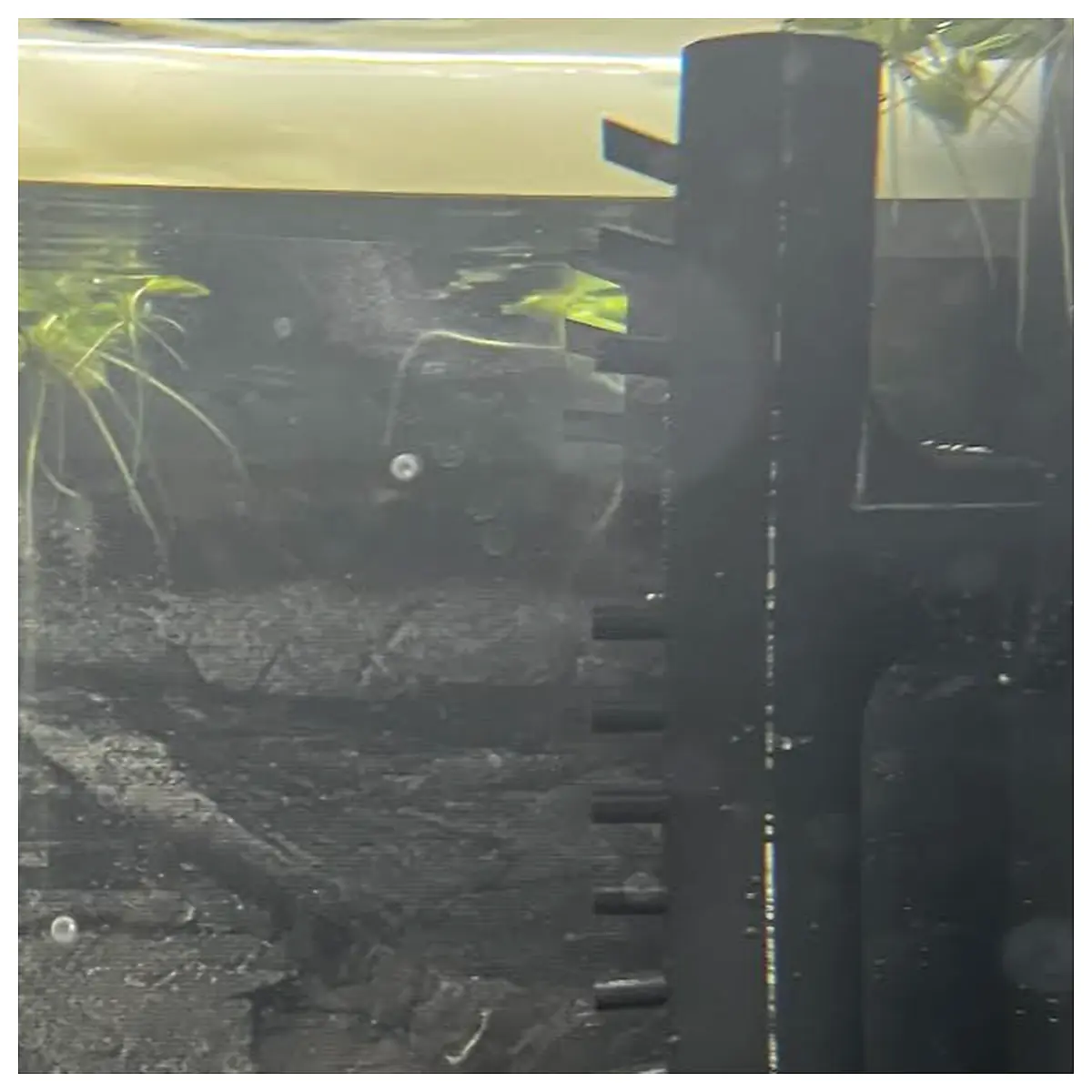 Aquarium Outlet Hose Filter Accessories Submersible Pump Connector Bioflow Replacement Parts Juwel