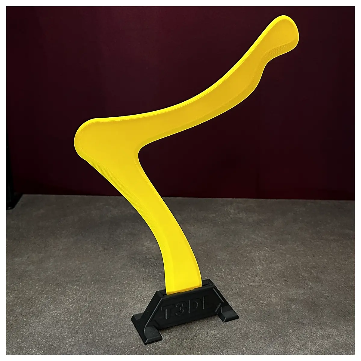 Frisbee Sports Outdoor Training Throwing Recreation Accessories Fitness Equipment