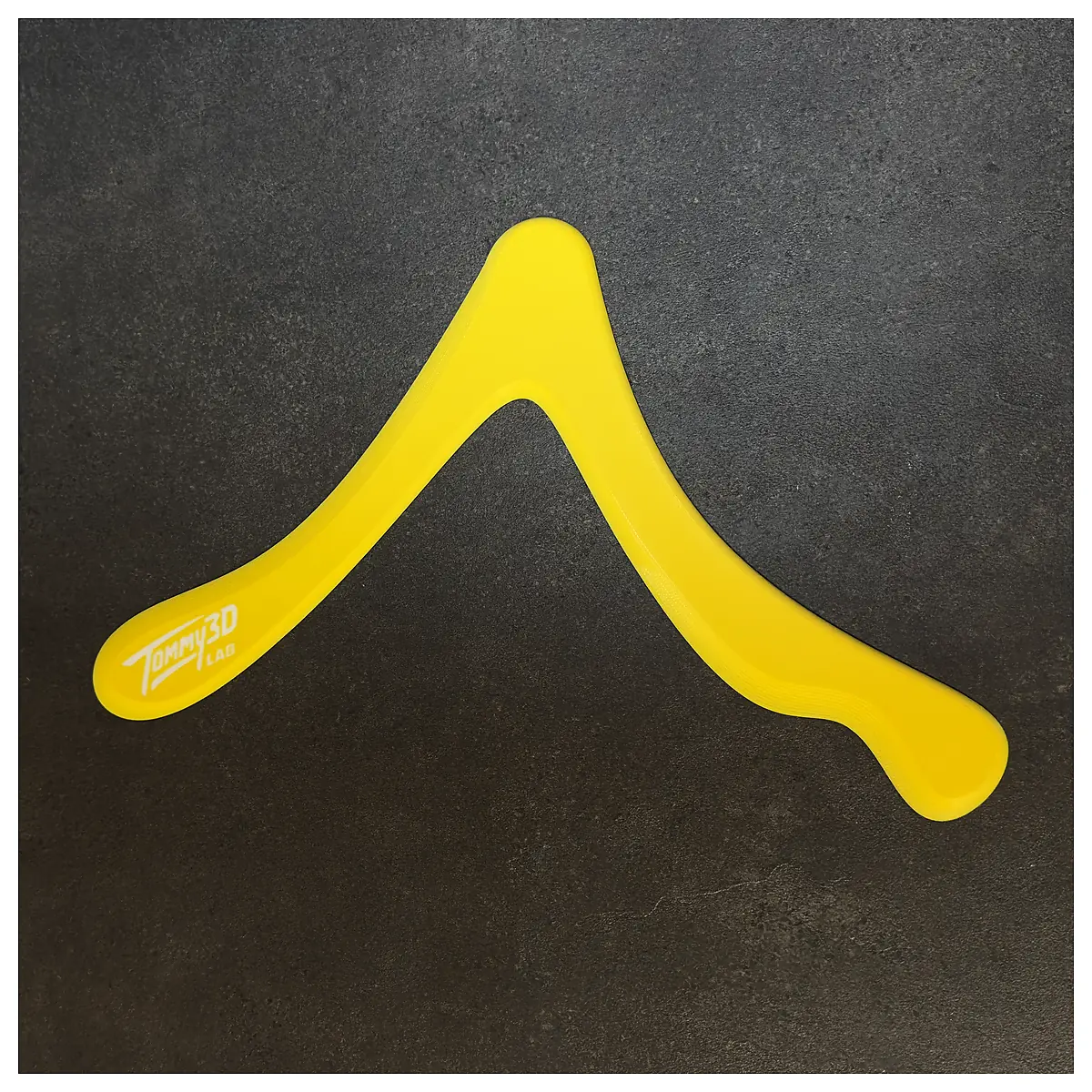 Frisbee Sports Outdoor Training Throwing Recreation Accessories Fitness Equipment