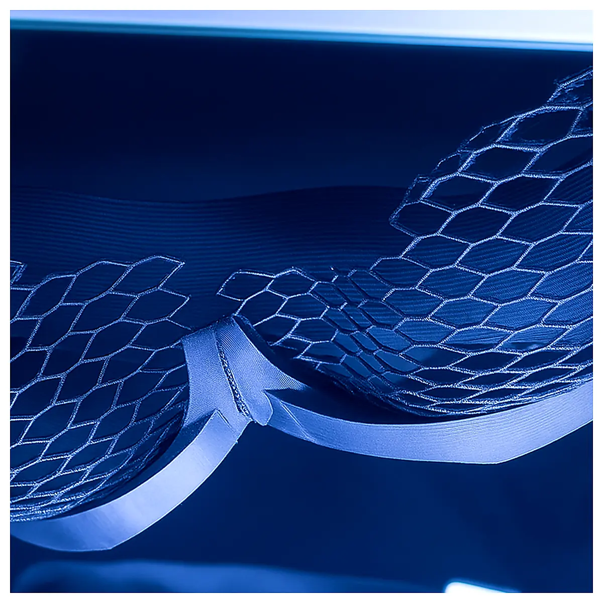 Fishnet Bra Support Bra Push Up Bra Sports Bra Cup Support Shaping Bra Sports Wear