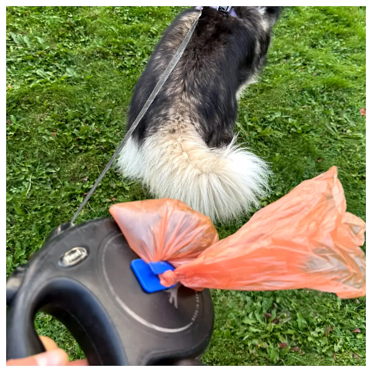 Dog Poop Scooper Attachment Waste Bag Clip Pet Waste Pickup Tool Dog Walking Accessories Poop Bag Holder Essential for Dog Owners