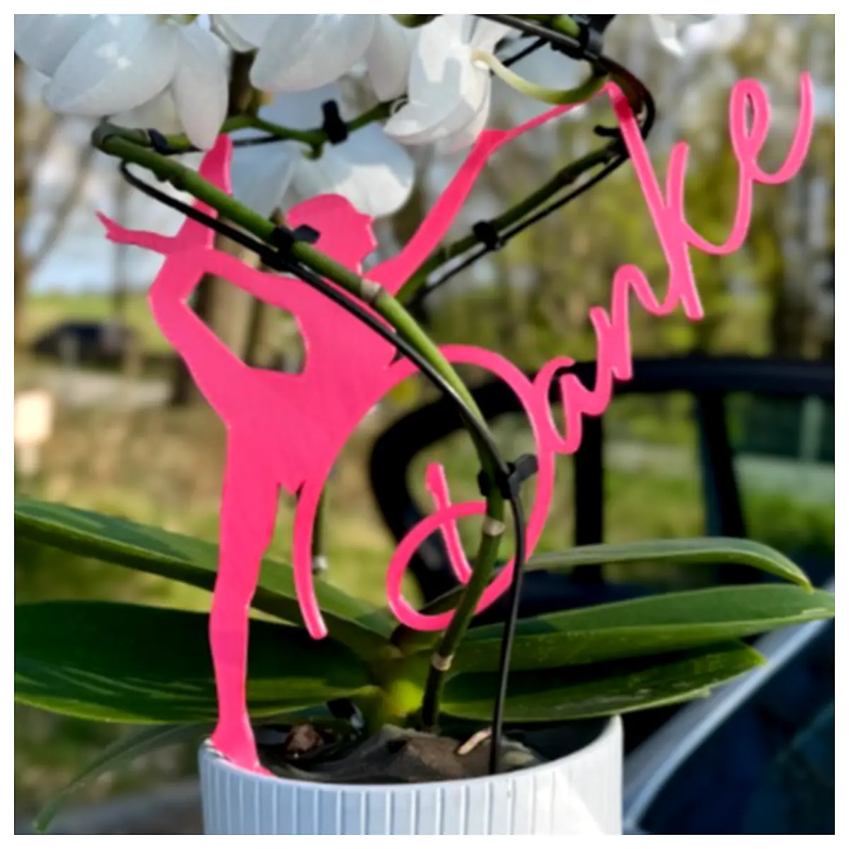 Yoga Decoration Flower Pot Decoration Indoor Wall Decoration Room Decor Placement Decoration Creative Home Decor Planter Decoration