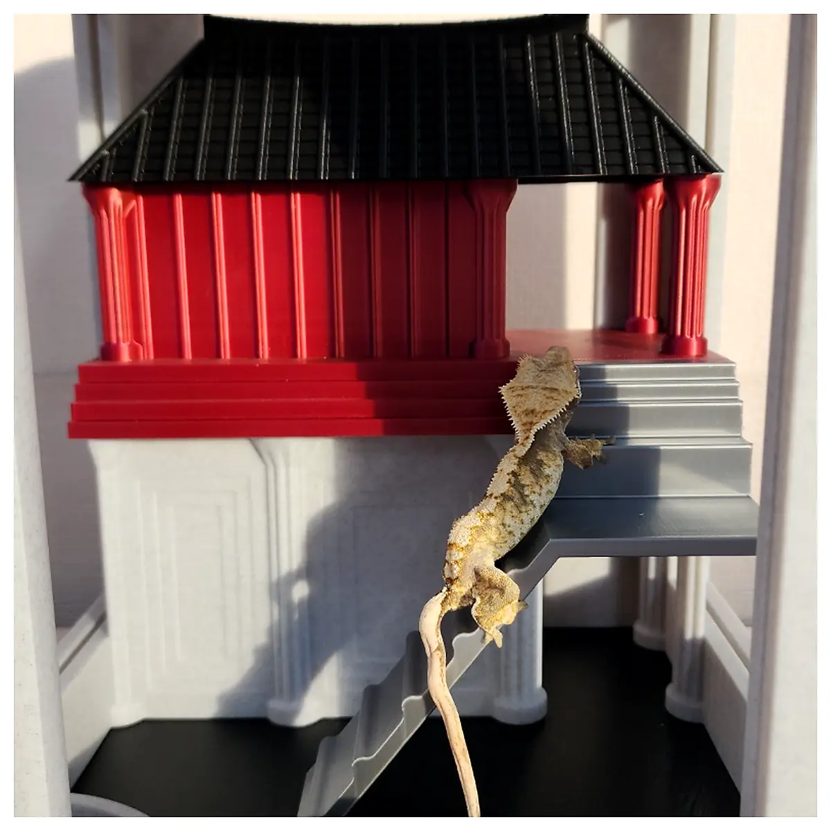 Dragon Crab Tank Integrated Housing Dragon Larva Box Dragon Hatching Box Dragon Raising Tank Accessories Dragon Breeding