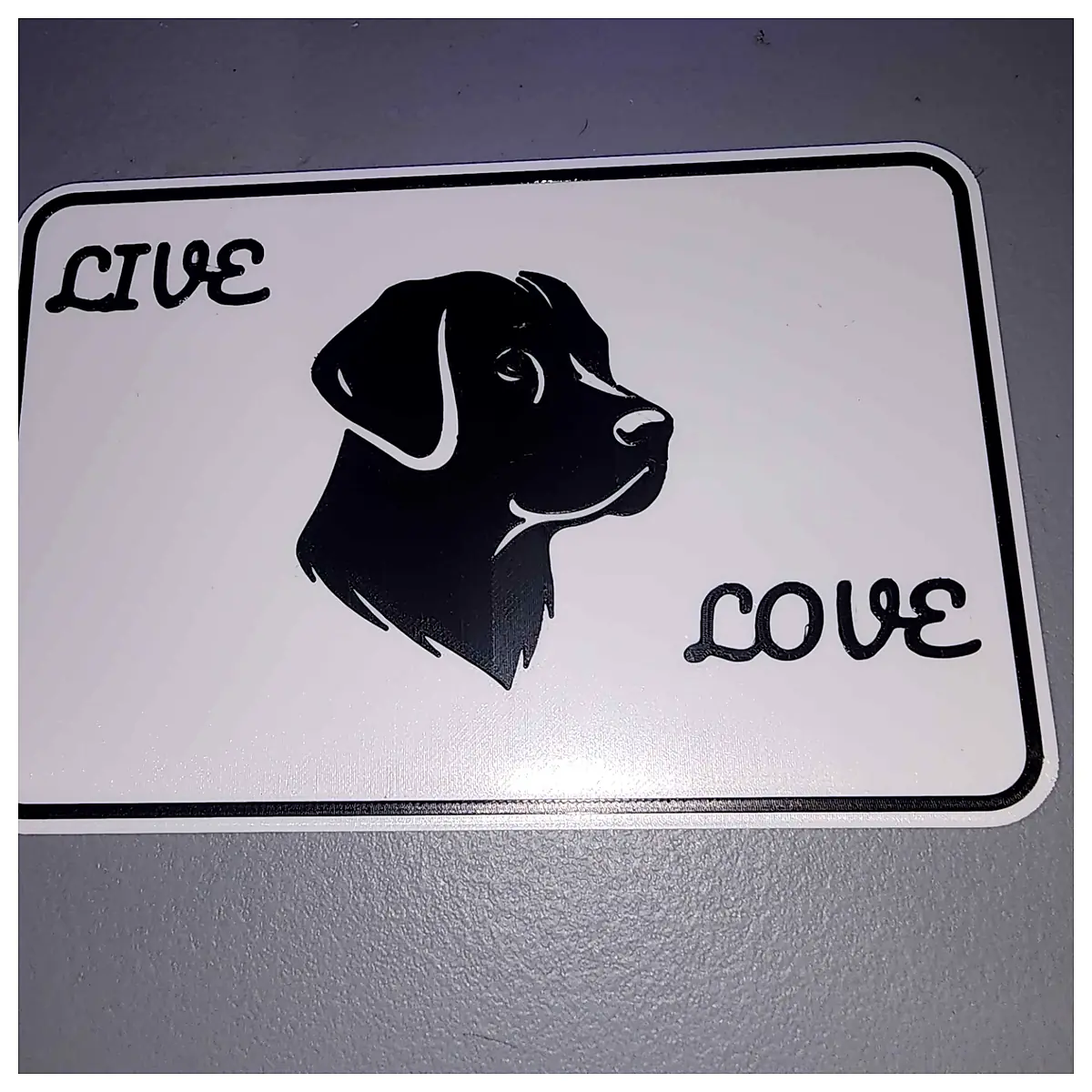 Live Lab Love Signage Lab Display Boards Department Indicator Signs Research Room Labels Teaching Experiment Signs Scientific Research Supplies