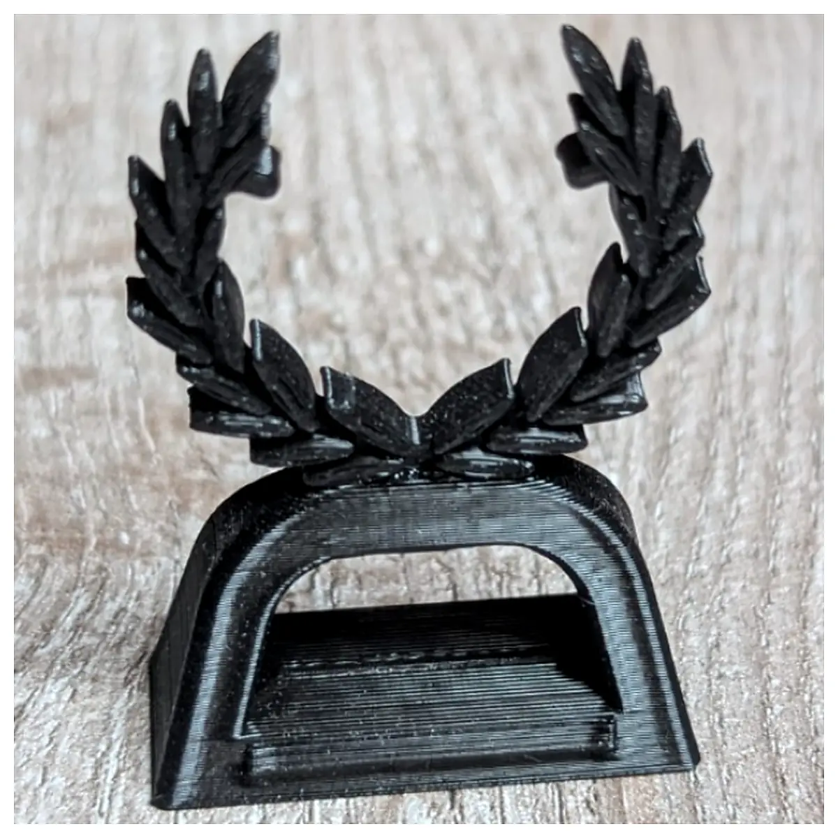 20mm Laurel Wreath Coin Display Stand Collection Coins Commemorative Coins Coin Display Exhibit