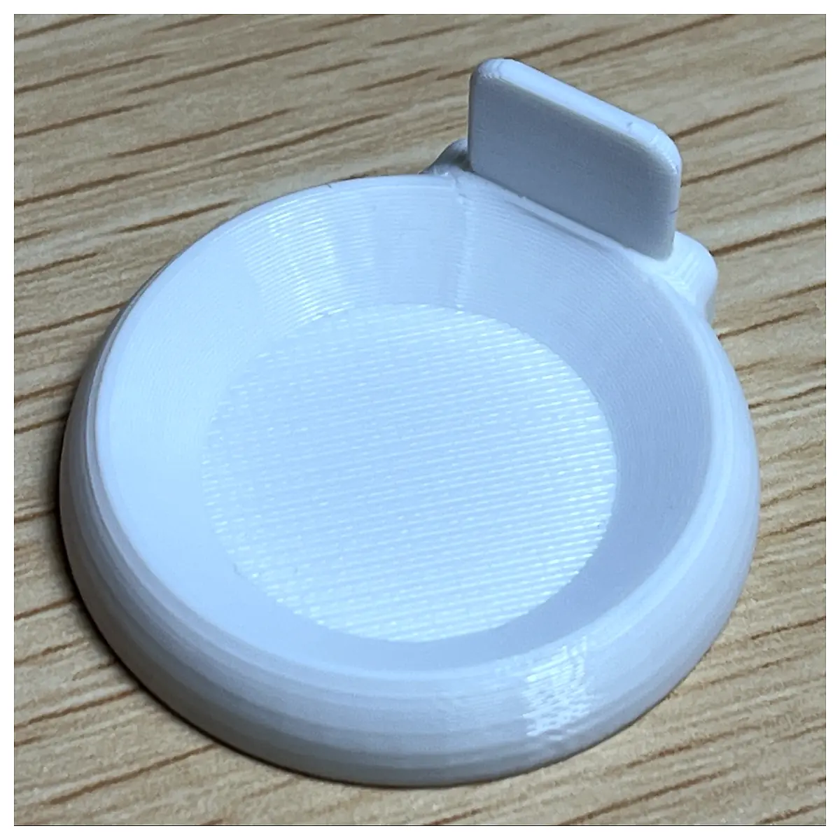 Ant Dish with Handle Ant Feeder for Outdoor Easy Cleaning Ant Supplies Feeding Accessories