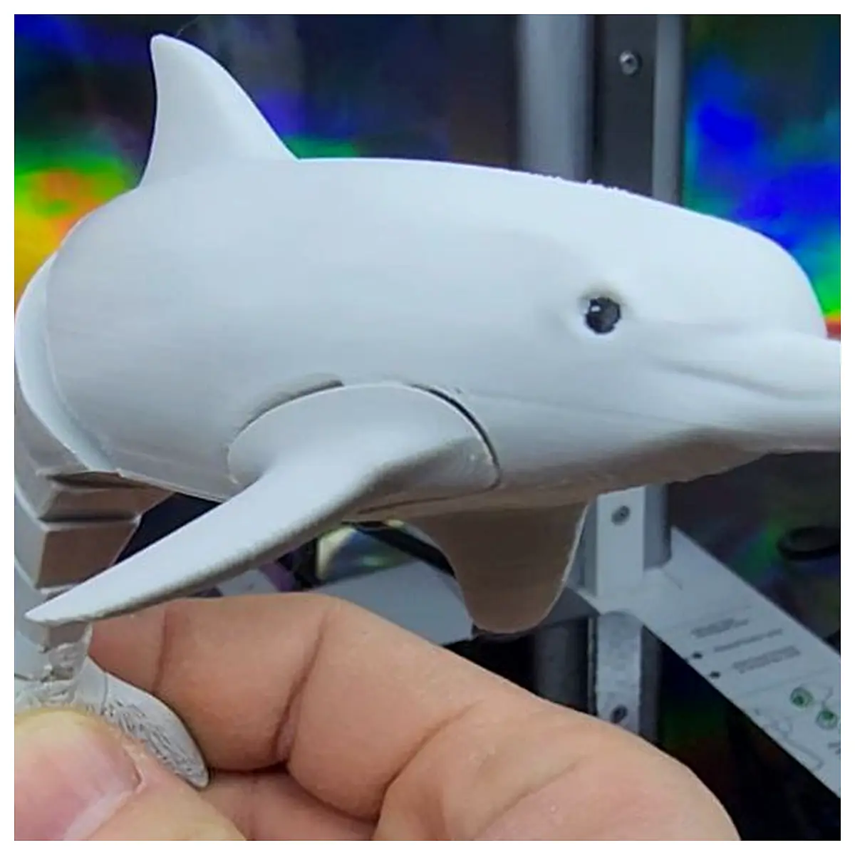 Animatronic Dolphin Model Toy Dolphin Figurine Marine Animal Floating Dolphin Underwater Toy Kids Gift Realistic Ocean Creature