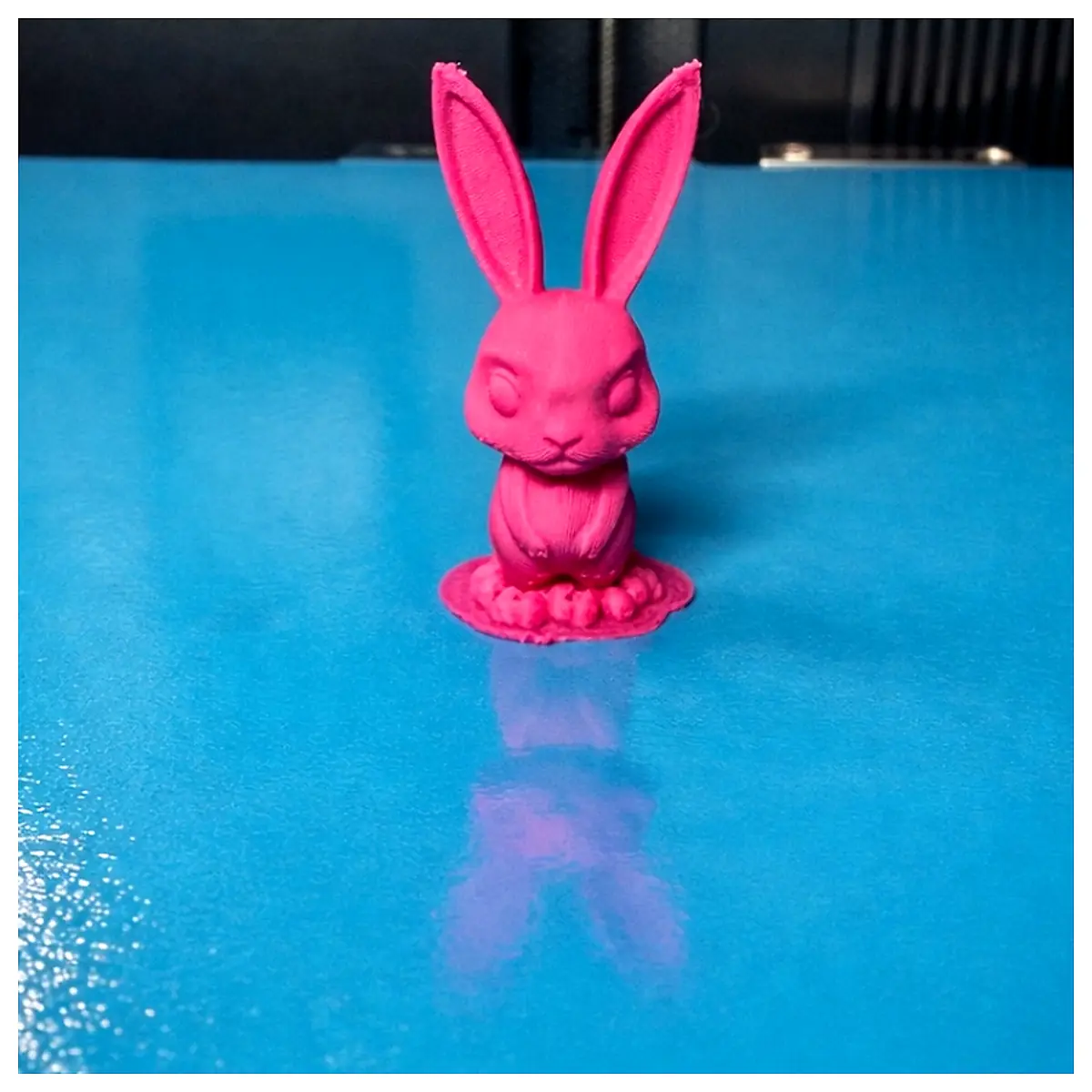 Mini Rabbit Toys Pet Toys Bunny Toys Enrichment Toys Training Tools Pet Accessories Wholesale