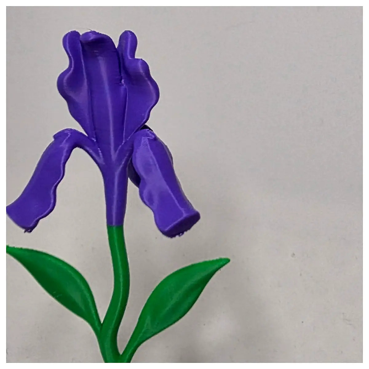 Purple Iris Plant Indoor Bonsai Succulent Green Plant Home Decor Care Tips Desktop Arrangement Office Greenery Plant Accessories