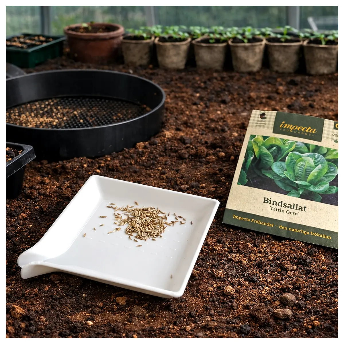 Seedling Propagation Tray Seed Starter Box Planting Tools Seedling Trays Seed Containers Young Plant Cultivation