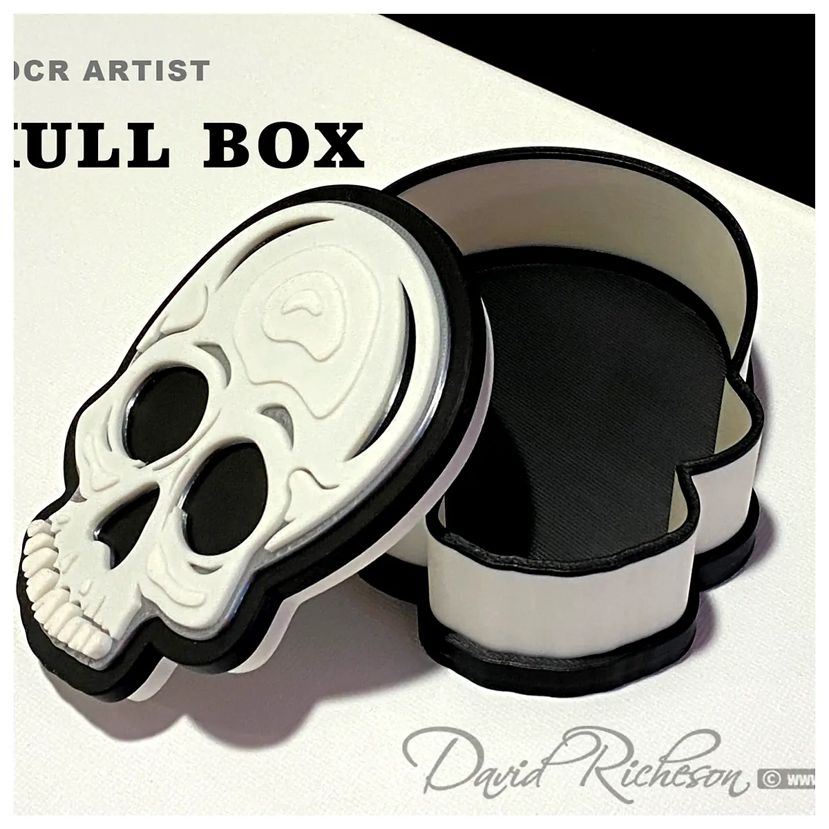 Skull Box Container Anatomical Model Educational Tool Lab Supplies Science Research Learning Model 3D Skull Box Teaching Model