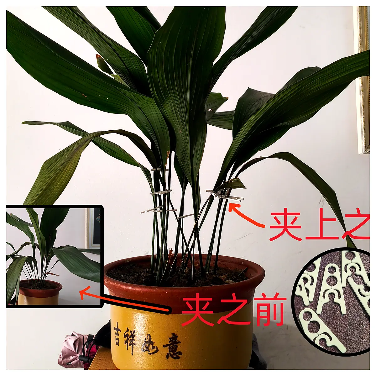 Flower Pot Clips Plant Support Tools Gardening Clips Flower Stem Holders Planting Accessories Floral Care Clips