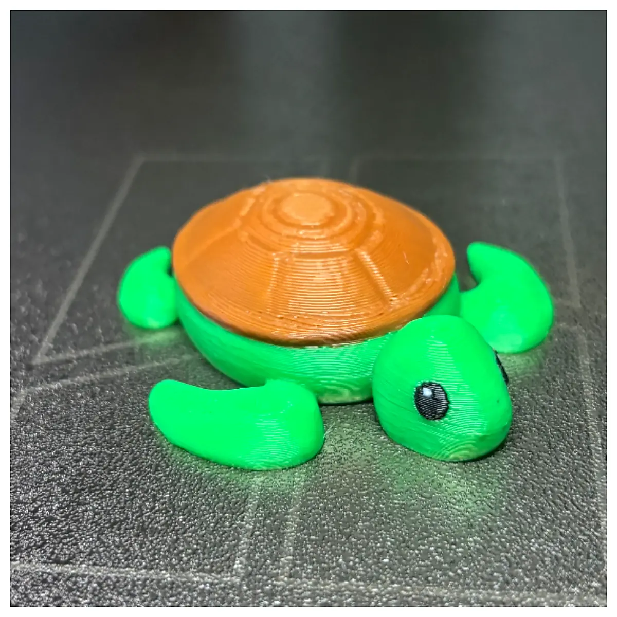Cute Toy Realistic Small Model Kids Educational Toys Aquarium Decoration Sea Life Figures Baby Gift Accessories