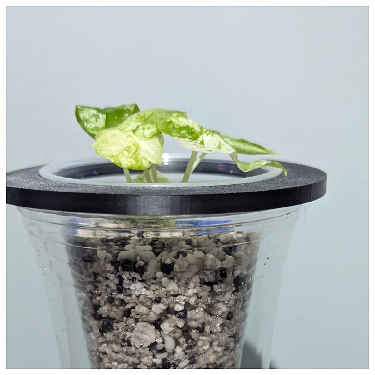 9oz Self Watering Adapter Watering Accessories Plant Hydration Root Soak System Planter Water Tube Gardening Supplies