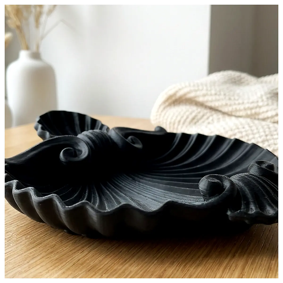 Shell Trays Nautilus Dishes Decorative Plates Collection Plates Shell Crafts Shell Decoration Storage Plates