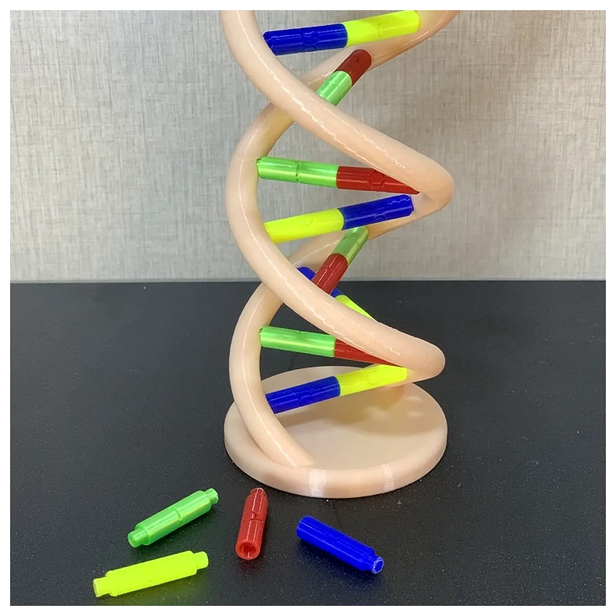 DNA Model Genetics Sequencing Genetic Research Supplies Lab Equipment Genomics Analysis