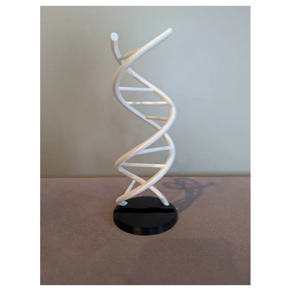 DNA Double Helix Model Scientific Display Educational Toy Helix Structure Learning Genetics Science Experiment