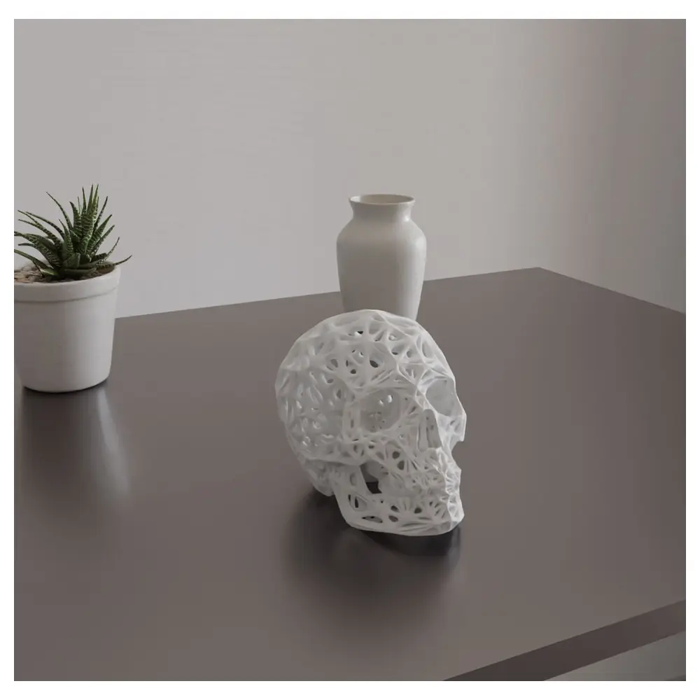 Voronoi Human Skull 3D Model Skull Modeling Rendering Art