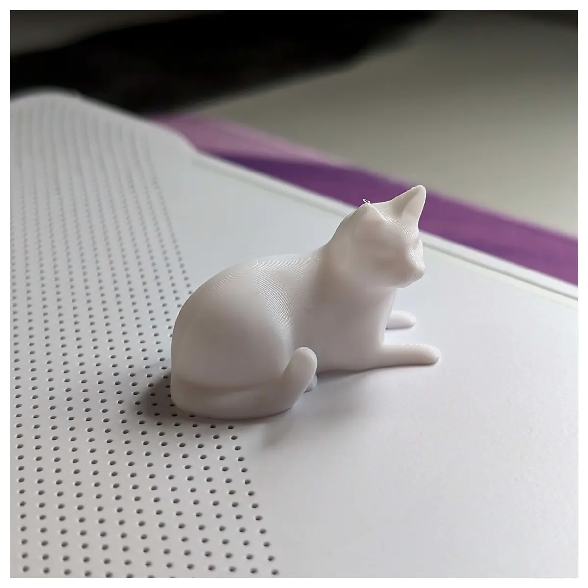 Cat Lying Pose Cat Sleeping Pet Cute Pet Supplies Pet Parts Pet Repair