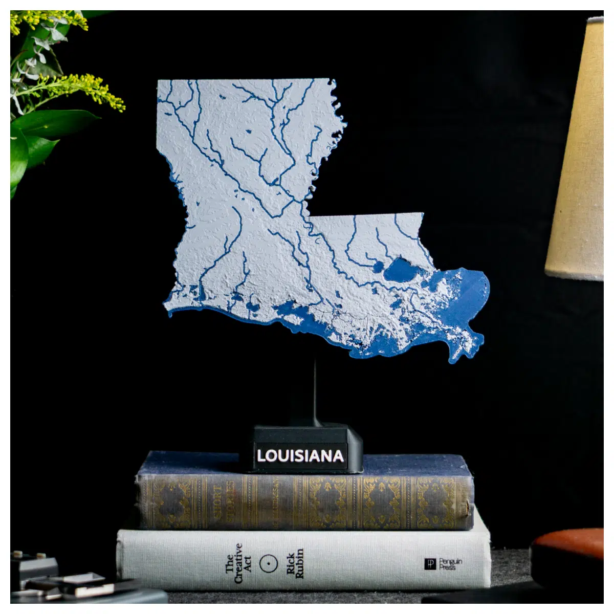 Louisiana Topographic Map Terrain Map Land Features Exploration Travel Guide