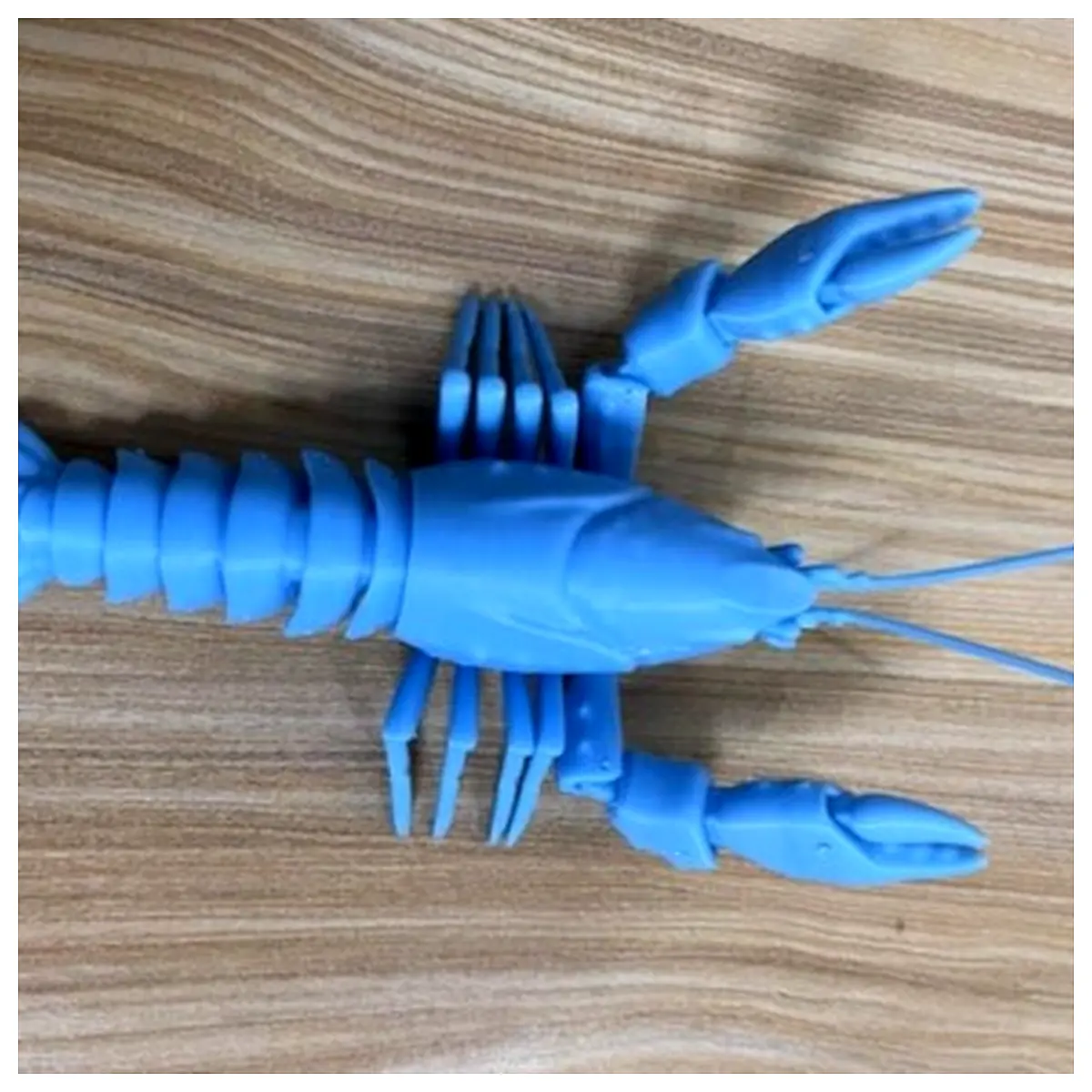 Lobster Claw Removal Repair Tools Universal Clamps Hand Clamps Shrimp Handling Accessories