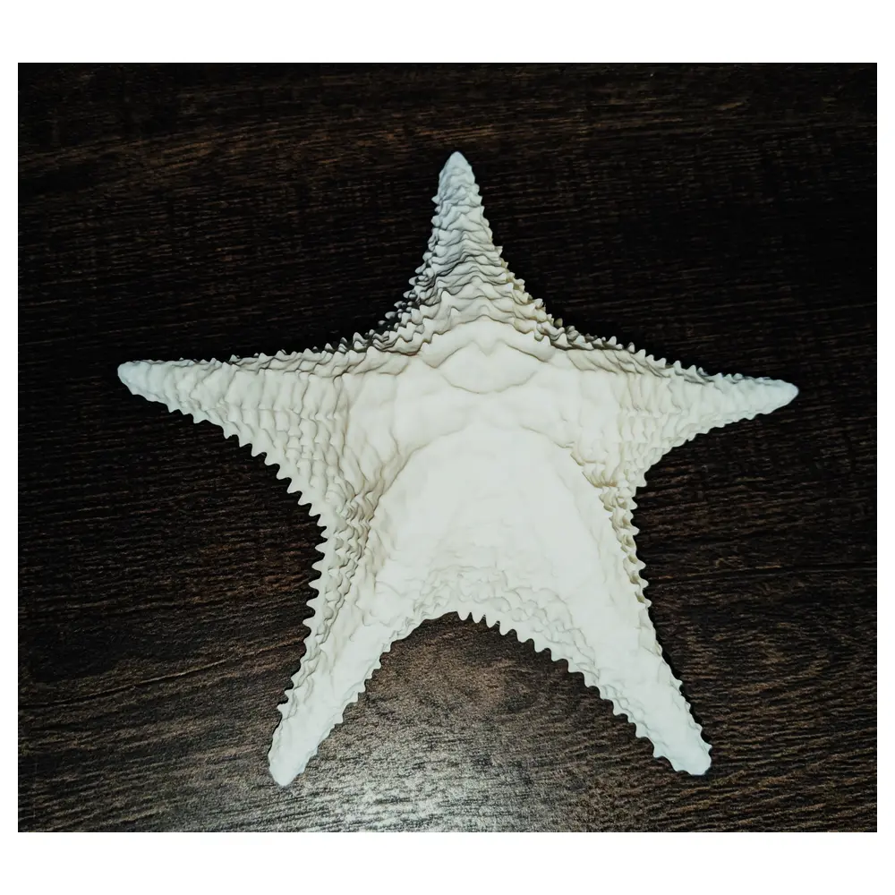 3D Scan Starfish Parts Repair Universal Accessories 3D Printing Scan Replacement