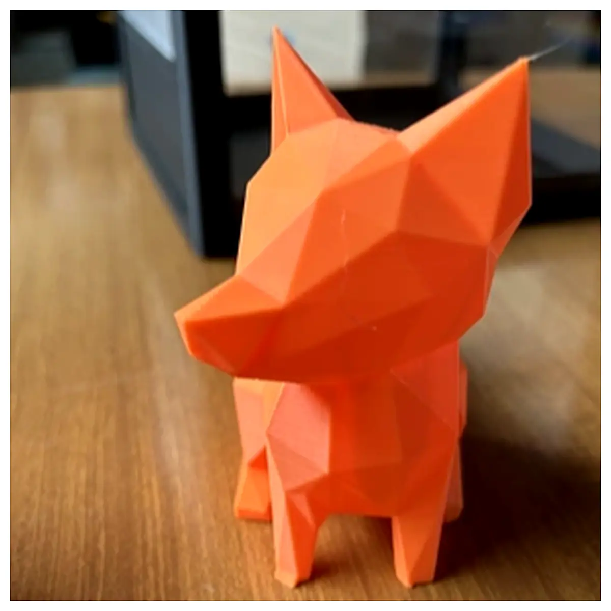 Low Poly Fox Model 3D Animation Download Game Asset Universal Realistic