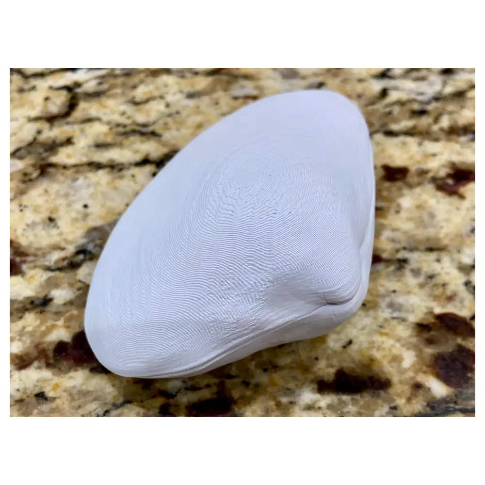 Clam Parts Universal Repair Accessories Shellfish Seafood Fresh Meat Replacement Parts