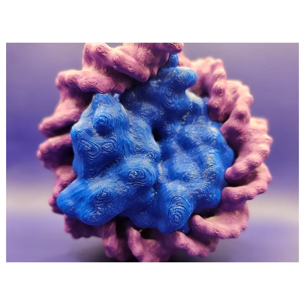 Nucleosome Structure Function Research Detection Analysis Unwinding DNA